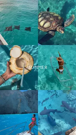 Summer