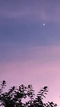 Fly me to the moon