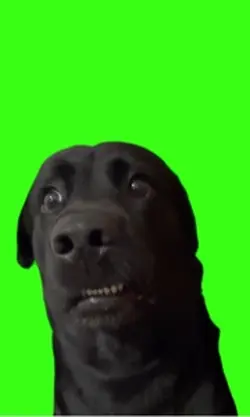 Tela verde