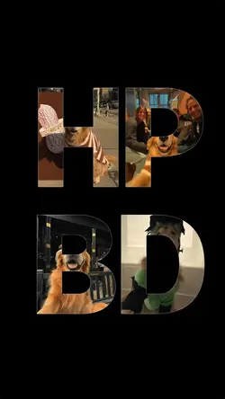 Birthday my dog