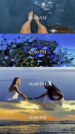 SUMMER AM TO PM