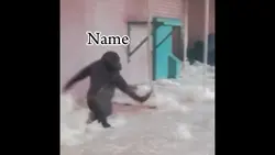 Funny orangutan