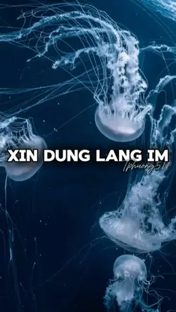 [2] XIN ĐỪNG LẶNG IM