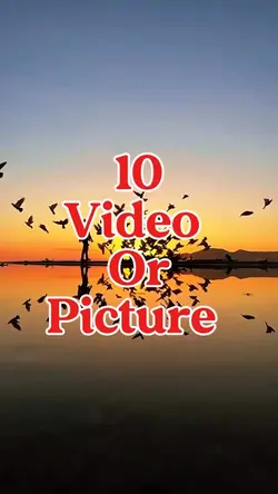 10 video or picture 
