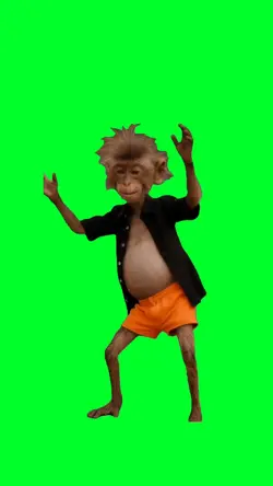 Dancing monkey meme