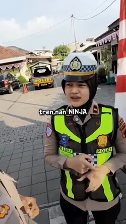 trenan ninja