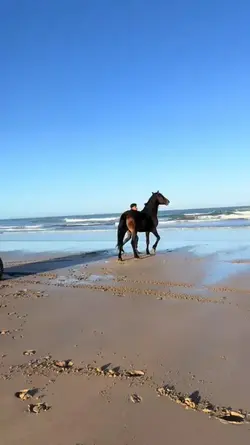 Save horse R cowboy