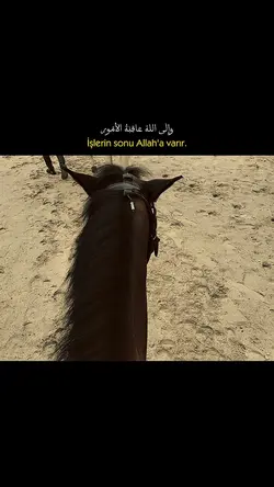 Varış Allah’a dır.