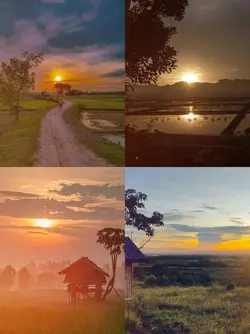 nature