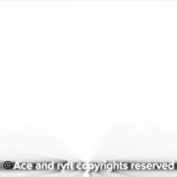 ACE AND RYFT DOC