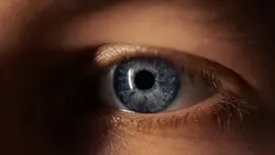 Teaser Cinematic