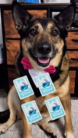 Pick a card