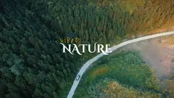 NATURE VIDEO