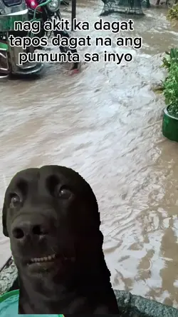 baha