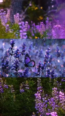 Spring day