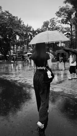 life lately