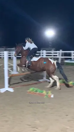 Best horse 💗