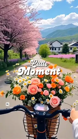 Little Moment