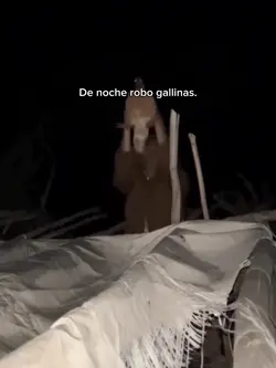 De día y de noche