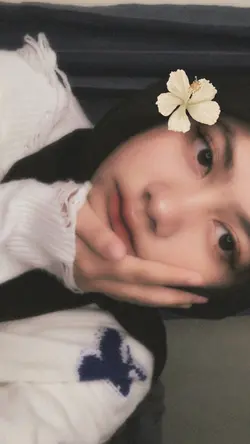 Mcd filter 