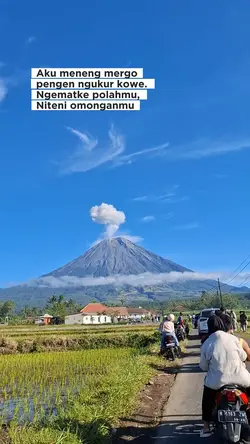 aku meneng