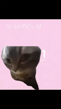 yo después de