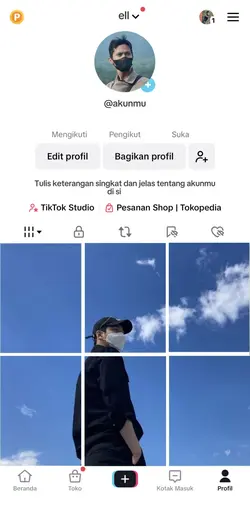 Intro Profile Tiktok