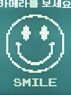 Squid game smile