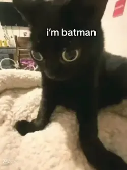 im batman 