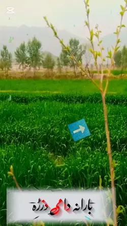 rain ۔باران نظم 