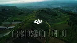 TREND DJI