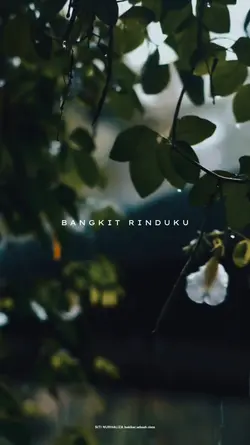 Hakikat Sebuah Cinta
