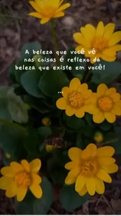Beleza interior