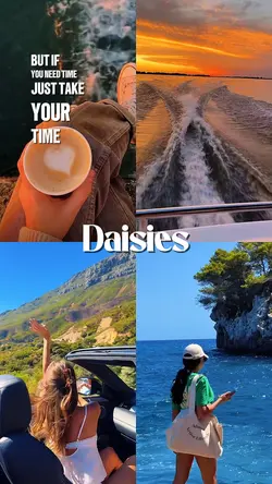 Daisies Lyric 🫶