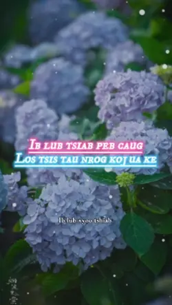 Ib lub tsiab peb 
