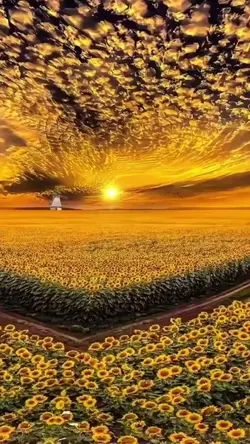 Beauty of nature