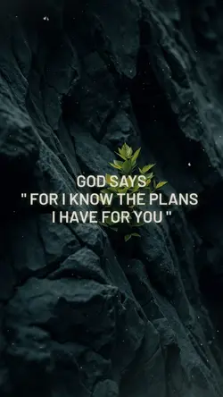 God's Plan