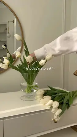 mini vlog
