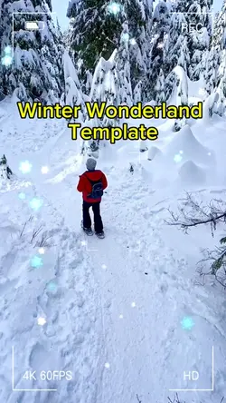 Winter Template