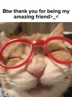 amazing friend
