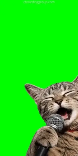 gato cantando