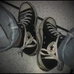 <333