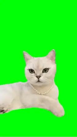 PRETTY CAT