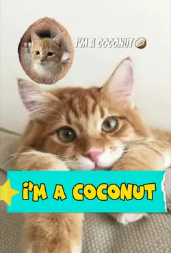 I’m a coconut 🥥 
