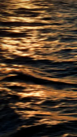 Slowmo
