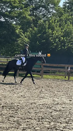 canter sound
