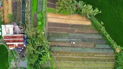 Dji mini 2se