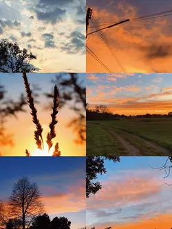 6Pics