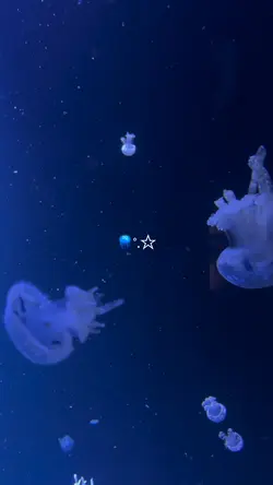 Aquarium trip🦈