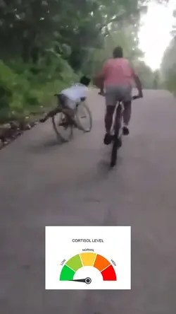 CORTISOL LEVEL